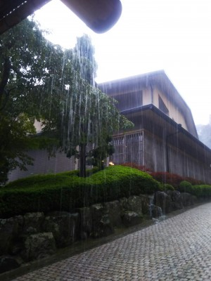 天気予報が外れました（It was raining cats and dogs）