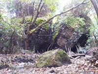 「金時宿り石」（A Broken Rock in Mt. Kintoki）