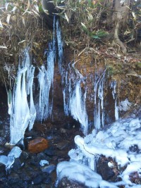 「箱根、さむいです」（It’s Freezing Today.）