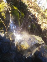 「温かい写真」（Gushing Natural Hot Spring）