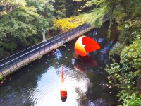 「ある日の彫刻の森美術館」（Hakone Open-Air Museum)