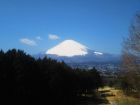 「今日の富士山」（A Clear Day）