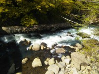 「箱根の春」（Spring in Hakone）