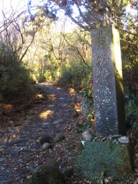 「旧街道の入口」（The Old Tokaido Road in Hakone）