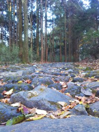 「旧街道の入口」（The Old Tokaido Road in Hakone）