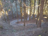 「旧街道の入口」（The Old Tokaido Road in Hakone）