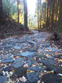 「旧街道の入口」（The Old Tokaido Road in Hakone）