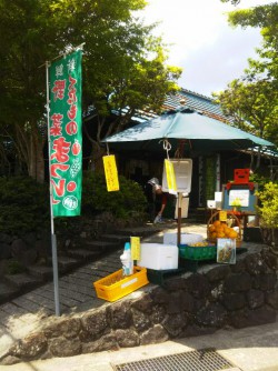 仙石原のお店の紹介（Shops & Restaurants in Sengokuhara district, Hakone）