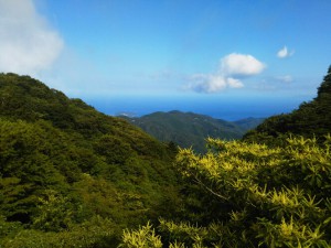 「富士見峠からみた相模湾と湯河原」（Fujimi Pass, The Spectacular View Point of Mt.Fuji）