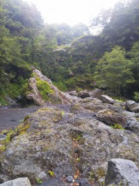 「富士山原生林ハイキング」（The Gotemba 5th Station in Mt. Fuji）