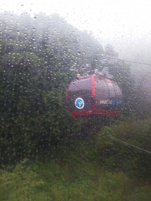 「ロープウェイから」（Hakone Ropeway）