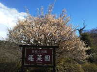 「箱根小涌園蓬莱園」（Horaien in Hakone Kowakien）