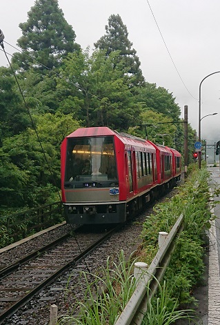 「あじさい電車」（Hydrangea Train of Hakone Tozan Railway）