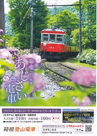 「あじさい電車」（Hydrangea Train of Hakone Tozan Railway）