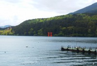 「箱根神社の平和の鳥居」（The Peace Torii of Hakone Shrine）