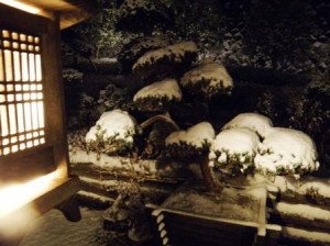 1月18日雪